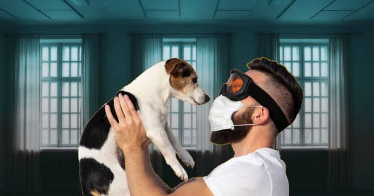 Breathtaking Dog? How To Make Your Dog Smell Good 5 allergicToDog