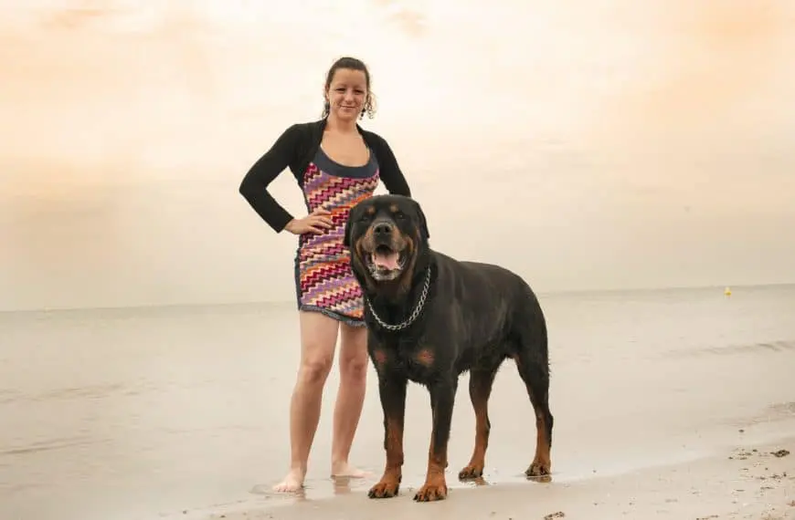 Home 11 woman and rottweiler