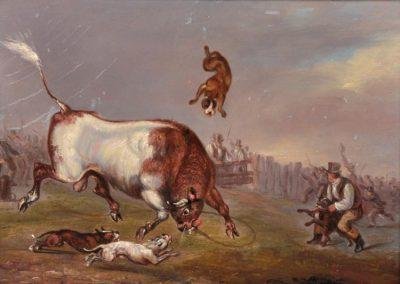 Bull Baiting Scene