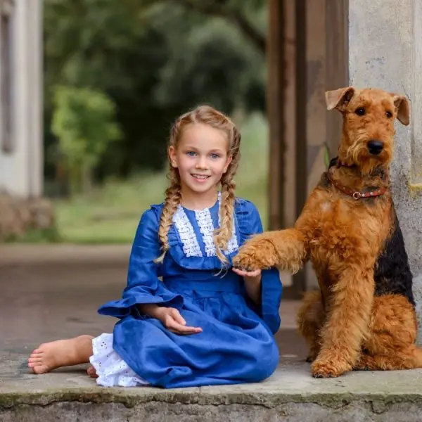 Home 53 beautiful little girl in a dress in nature in summer with an Airedale Terrier dog
