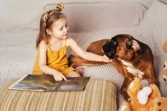 friendship and love between children and pet dogs