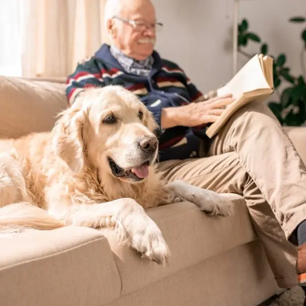 Old Dog on Couch with Old Man