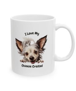 13268299815927715468 2048