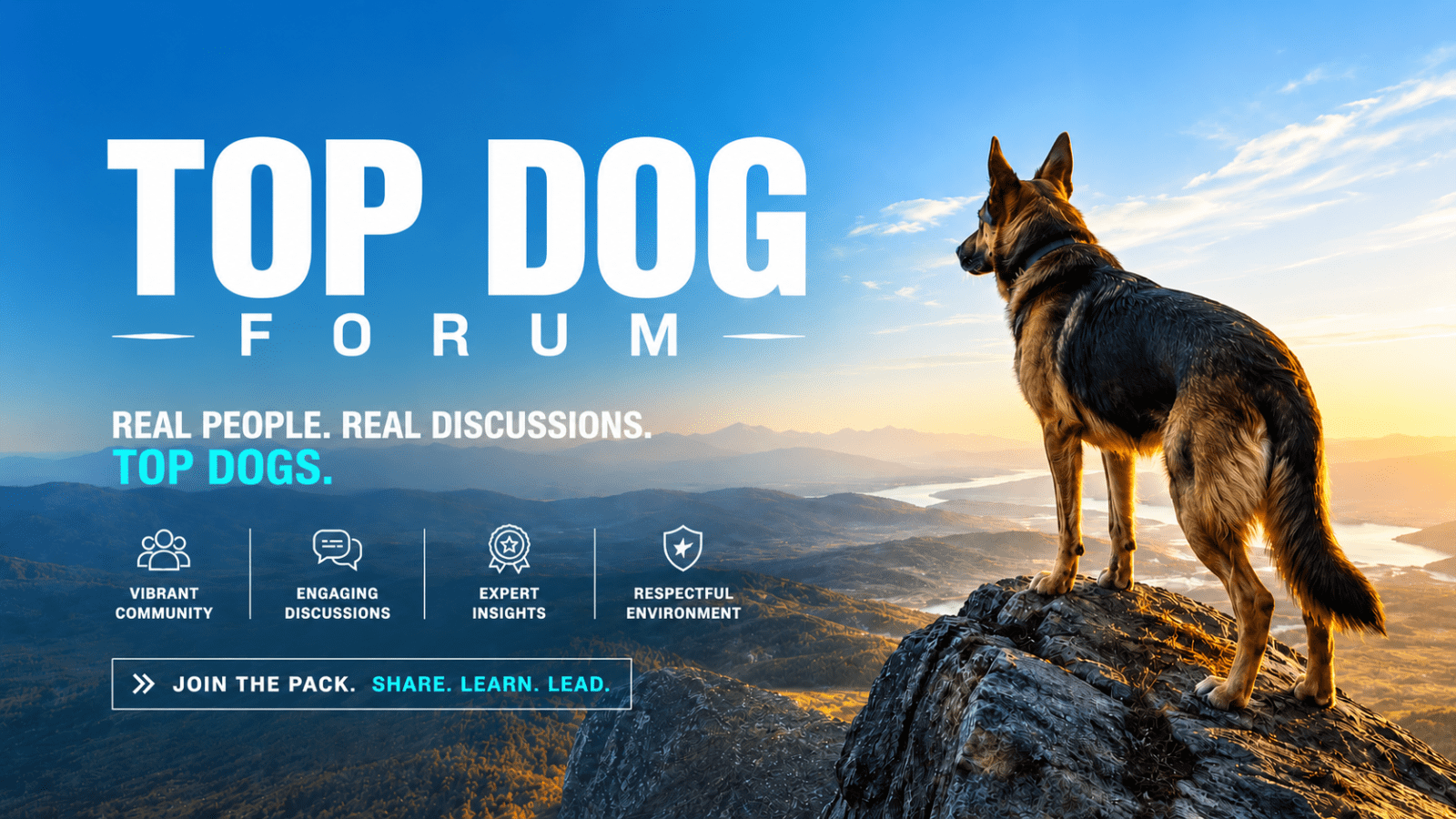 Home 10 Top Dog Hero