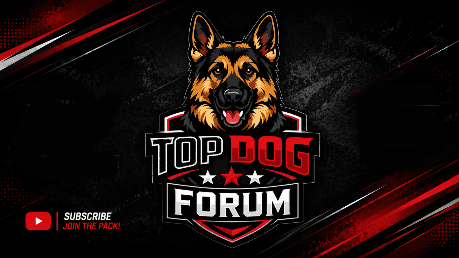Home 15 Top Dog Forum Hero