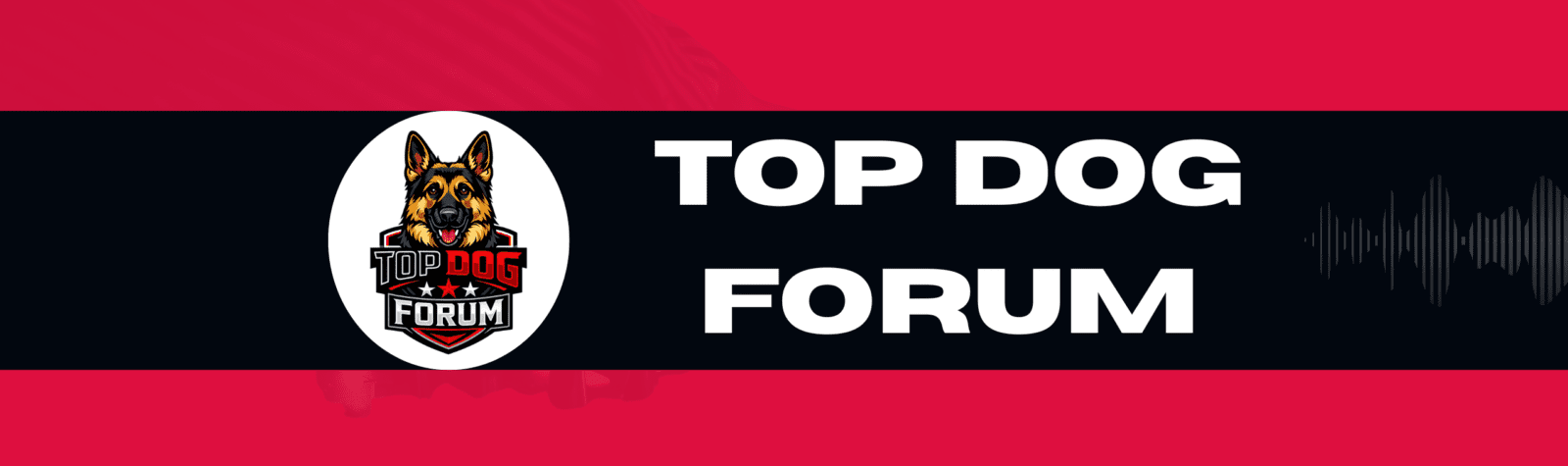 TopDog Youtube Banner 2 copy